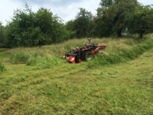 Landschaftspflege Hörz mulchen im Heugras