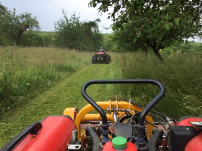 Landschaftspflege Hörz mulchen im Heugras